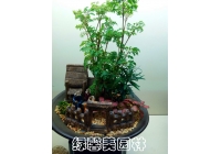 组合花卉