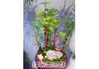 组合花卉