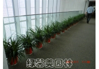 公司绿植租摆