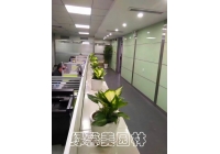 绿植租摆