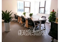 办公室绿植租赁