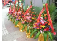 开业花篮